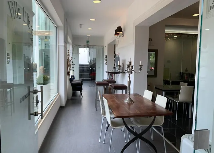 莉莉安娜别墅酒店 3* 切尔维亚